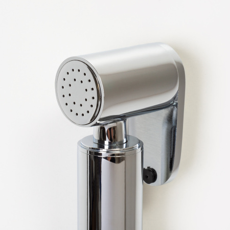 Гигиенический душ со смесителем WasserKraft A70138 хром